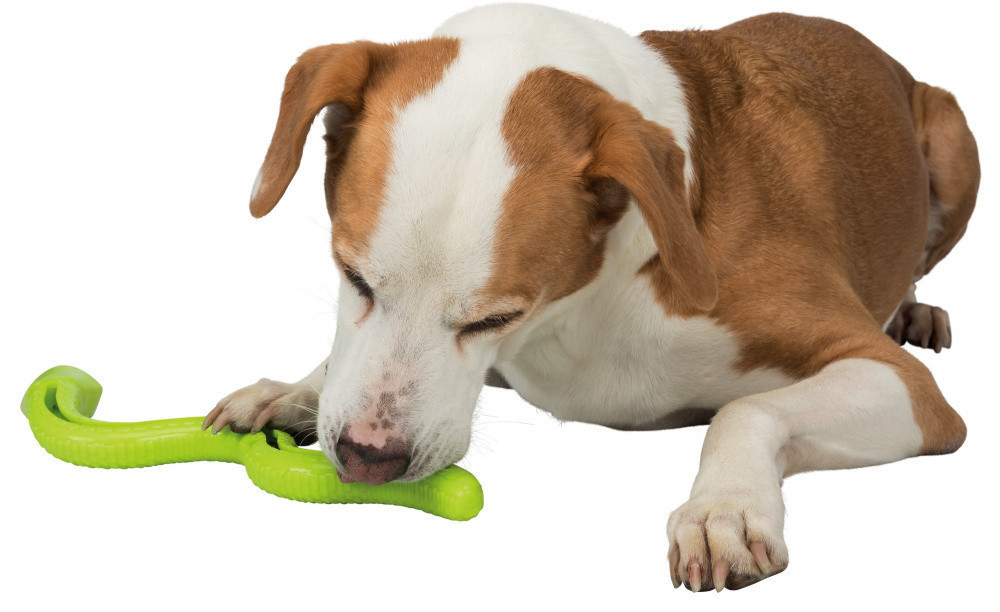Trixie Jouet à friandises pour chien 34949