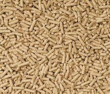 Cat's Best Litière végétale pour chat 10 L / 5 kg Cat's Best Litière végétale pour chat 10 L / 5 kg