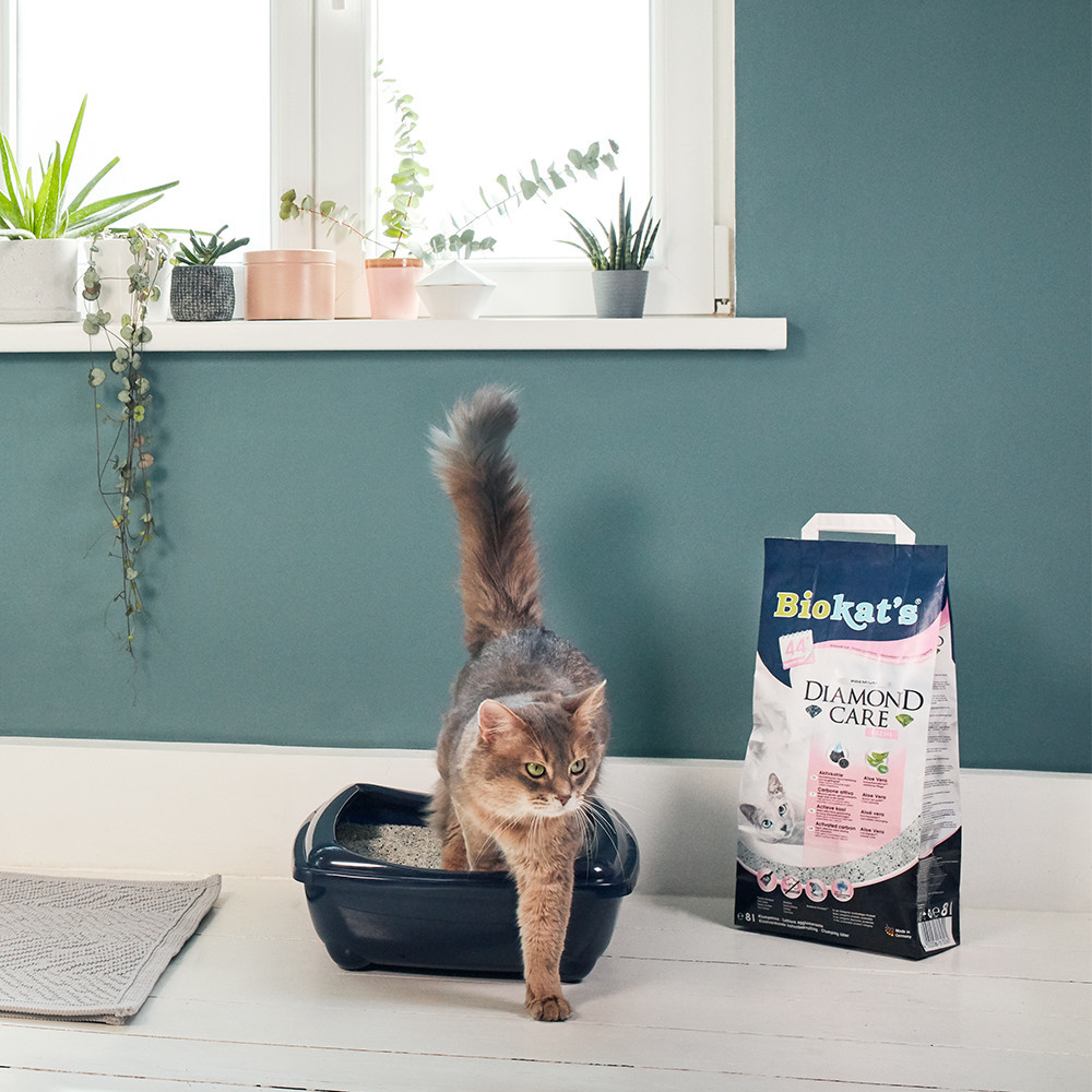 Biokat's Litière minérale pour chat 8 L Biokat's Litière minérale pour chat 8 L