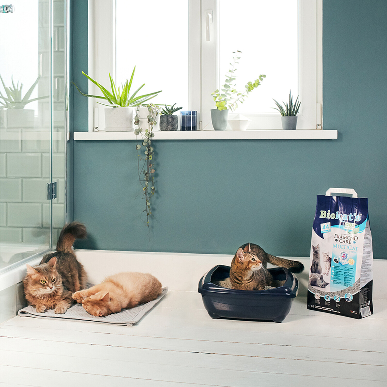 Biokat's Litière minérale pour chat 8 L Biokat's Litière minérale pour chat 8 L