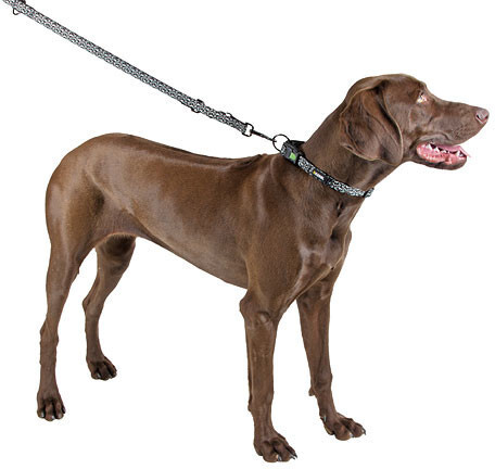 Kerbl Collier lumineux pour chien 40-55 cm x 20 mm Kerbl Collier lumineux pour chien 40-55 cm x 20 mm