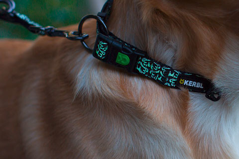 Kerbl Collier lumineux pour chien 40-55 cm x 20 mm Kerbl Collier lumineux pour chien 40-55 cm x 20 mm