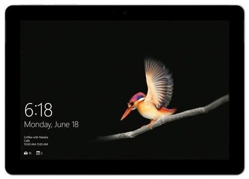 Microsoft Surface Go Commercial Edition 8 Go/256 Go 4G