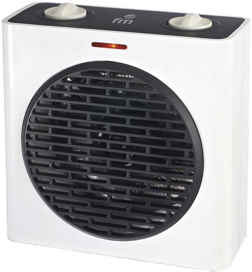 FM T-20