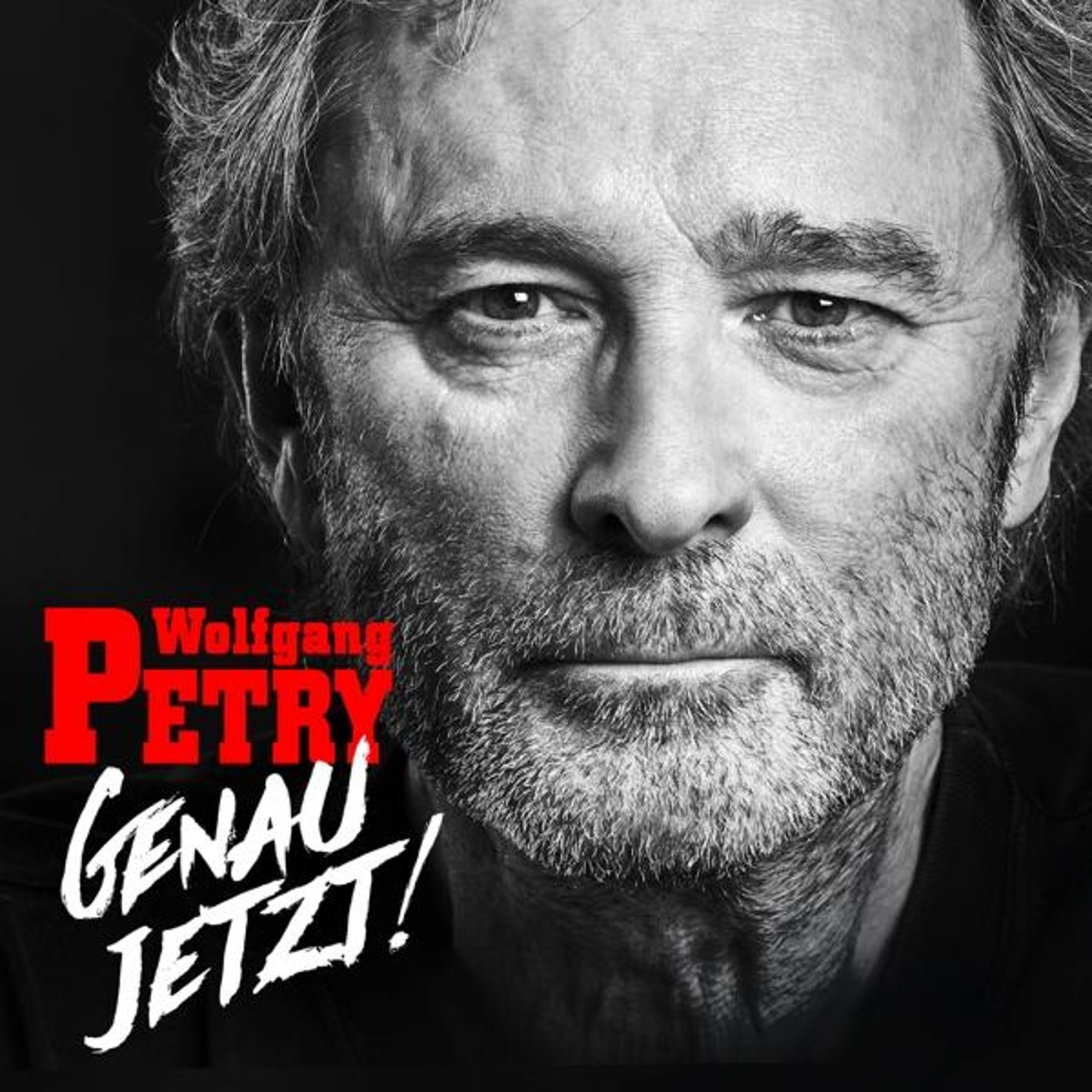 Wolfgang Petry - Genau jetzt! (CD)