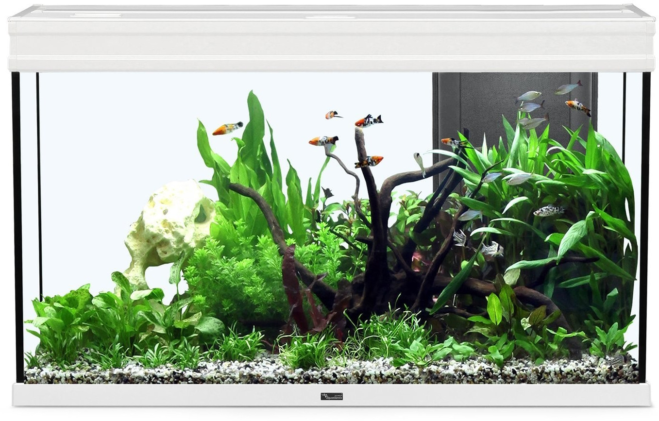 Aquatlantis Elegance Expert 100