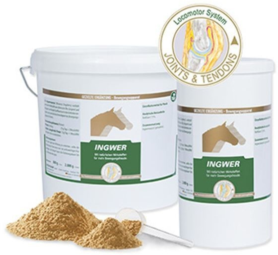 VETRIPHARM Equipur 100% Ginger