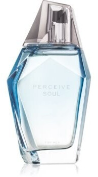 Avon Perceive Soul for Men Eau de Toilette (100ml)