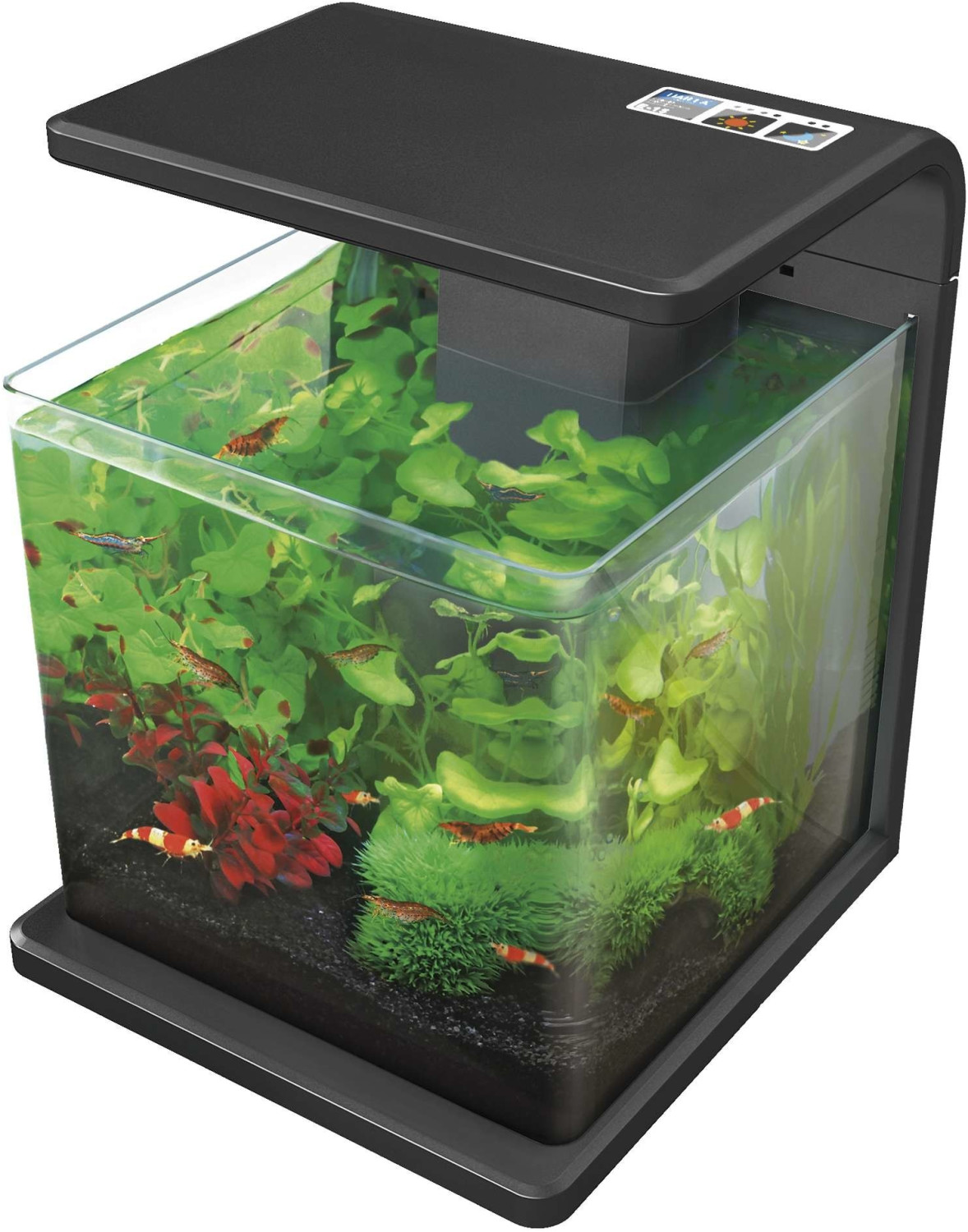 ICA Biotop Deluxe Natur 15l Black