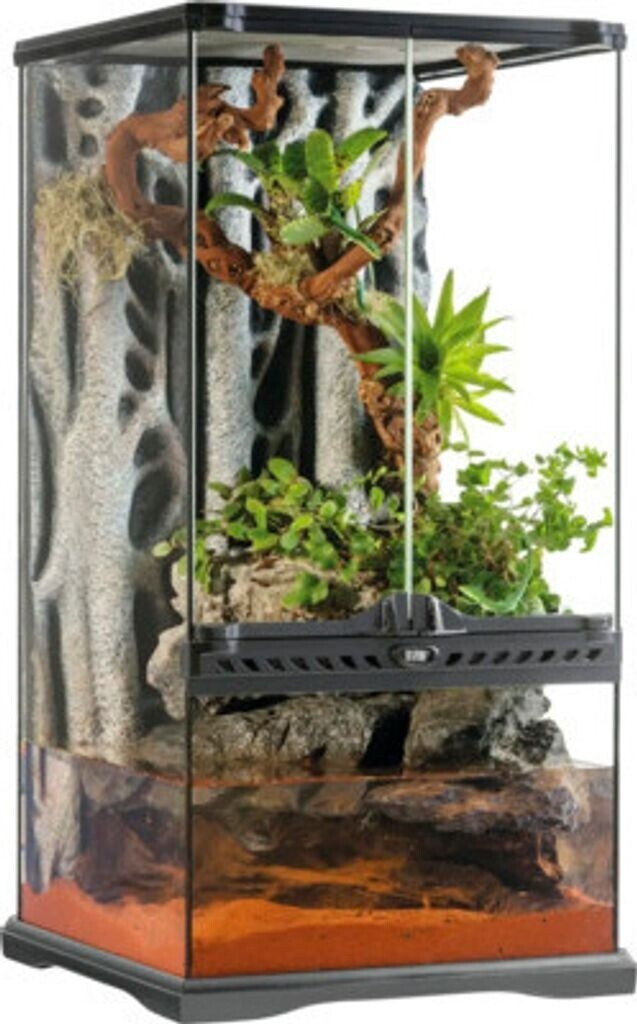 Exo Terra Natural Paludarium 30 x 30 x 60cm (PT2595)