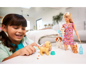 Barbie Hundesitterin und Welpen mit Pippi/Häufchen-Funktion FXH08 Mattel NEU/OVP 