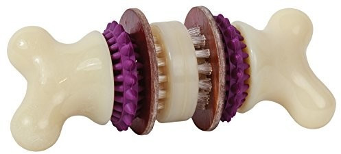 Petsafe Busy Buddy Bristle Bone M