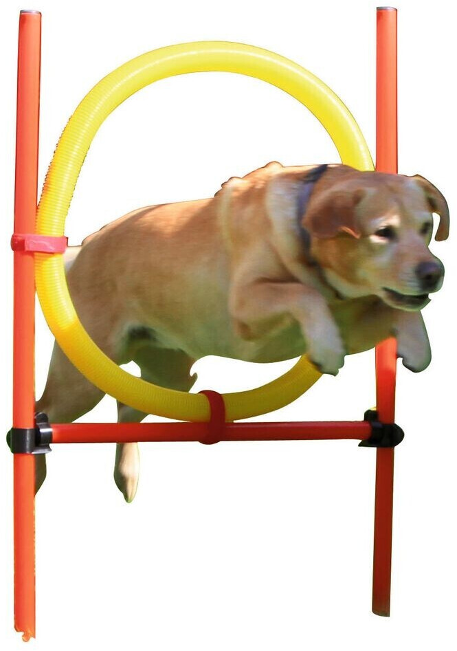 Kerbl Agility Set