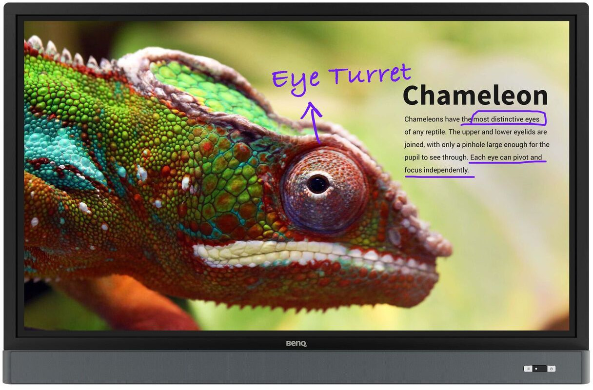 BenQ RM5501K