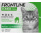 Frontline Combo Spot on Katze