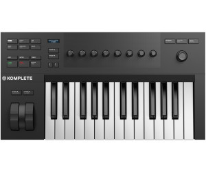 native instruments a25 review