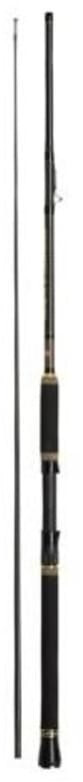 Penn Regiment II Inner Boat 2,40m 20lb
