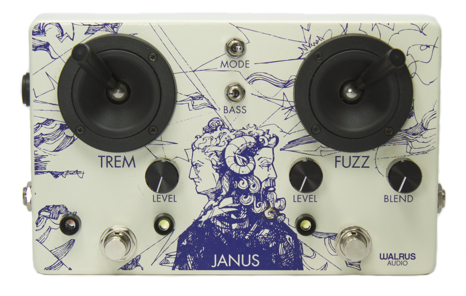 Walrus Janus