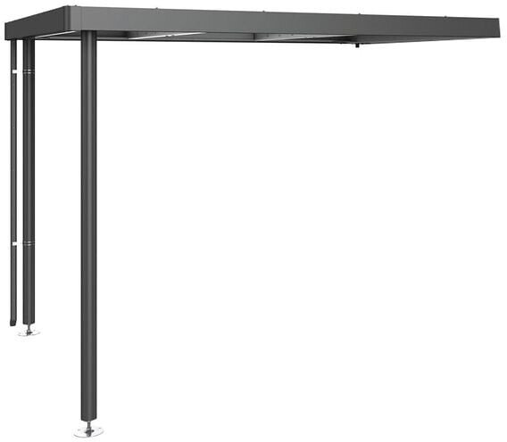 Biohort Seitendach Fur Serie Highline Einzel Und Doppeltur B 282 X T 235 Cm Gr H3 Ab 999 01 Preisvergleich Bei Idealo De