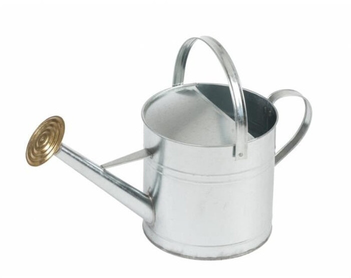Naturè Arrosoir acier galvanisé 9 L
