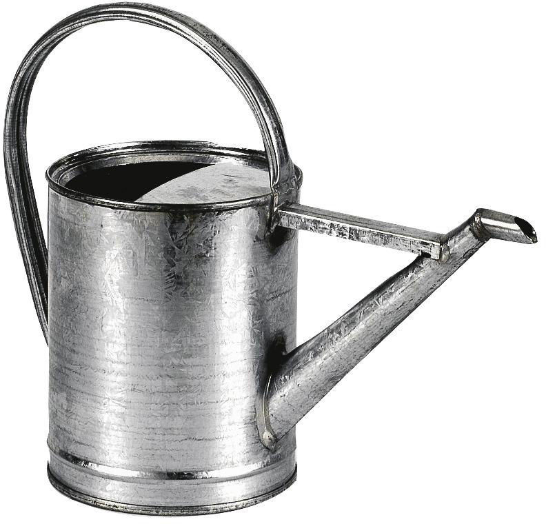 Aubry Gaspard Arrosoir en zinc 3 L