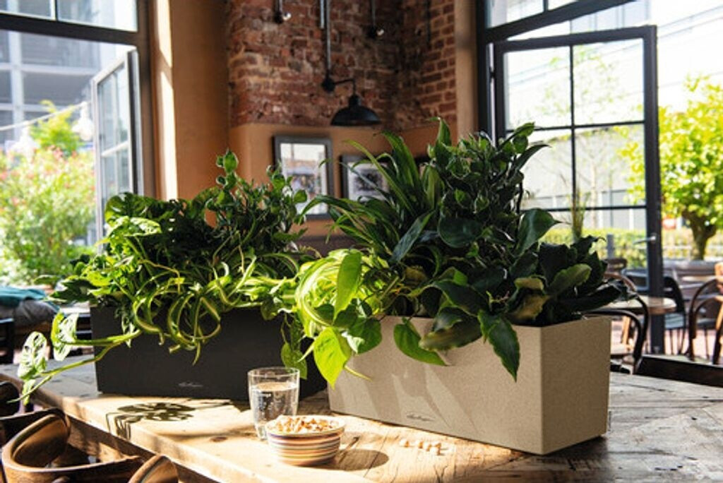 Lechuza Lechuza Balconera Stone 50 Graphite - view 22