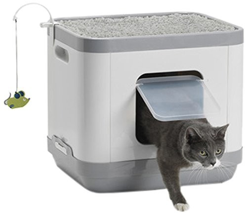 Sharples & Grant Cat Concept Multiloo Cube