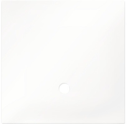 Dennerle Couvercle en verre pour Nano Cube 20 L