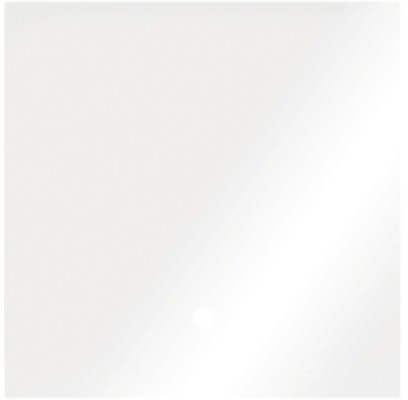 Dennerle Couvercle en verre pour Nano Cube 60 L 36 x 36 cm