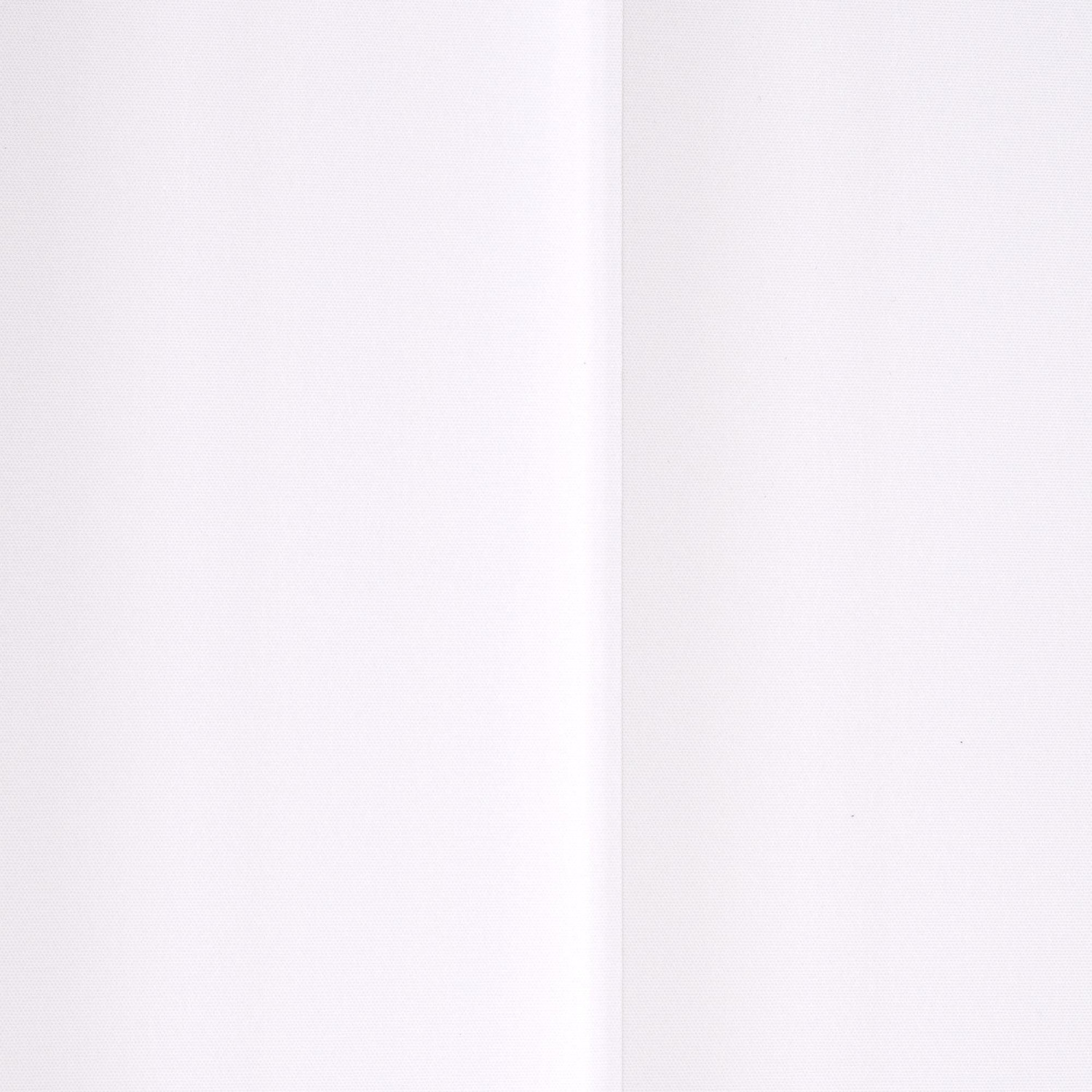 Liedeco Lamellenvorhang-Vertikalanlage 89mm (250 x 150cm) Weiß ab 109,95 €  | Preisvergleich bei