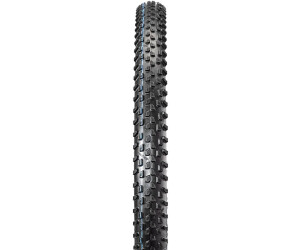 Schwalbe Racing Ray (Evo) desde 47,99 € | Compara precios en idealo
