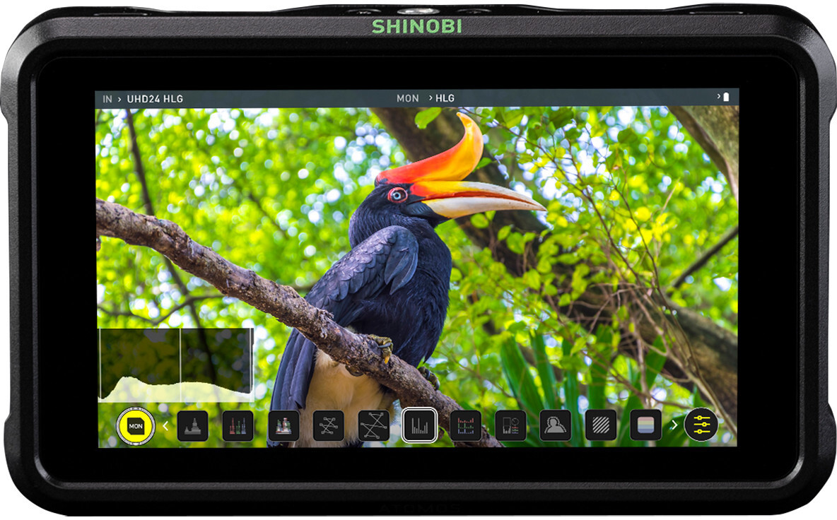 Atomos Shinobi