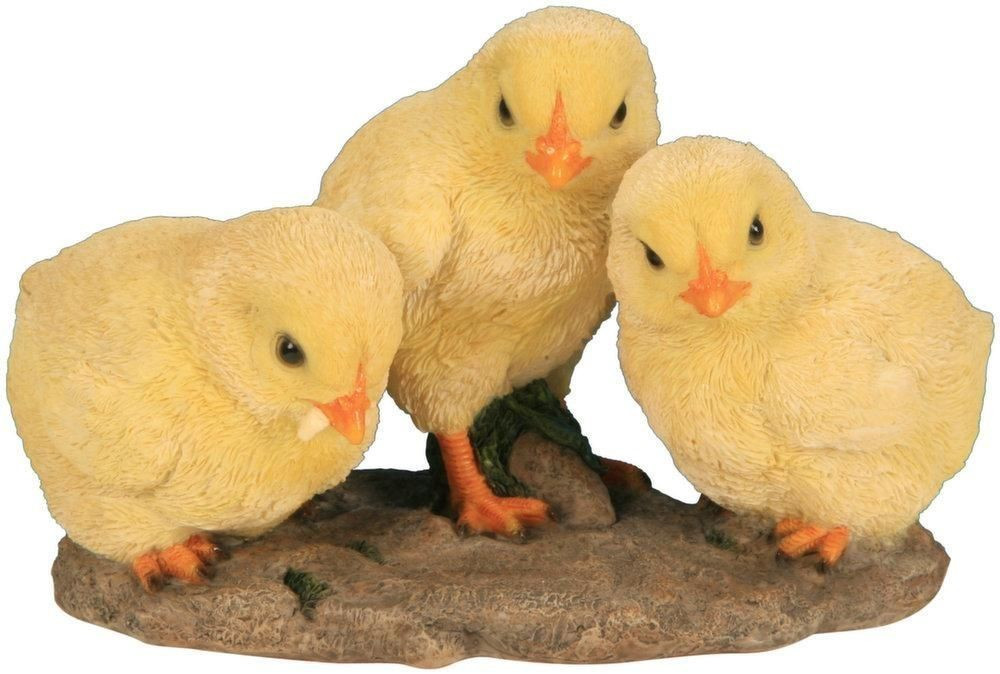 Riviera System 3 poussins