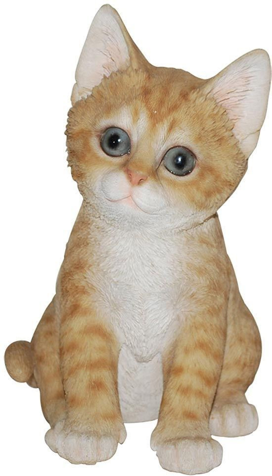 Riviera System Chaton roux