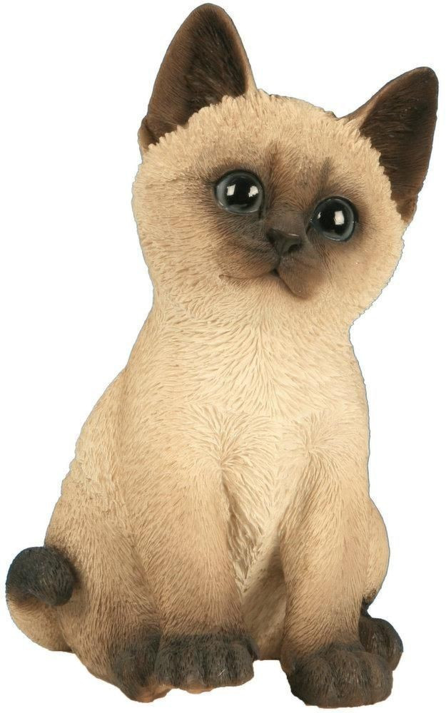 Riviera System Chaton assis