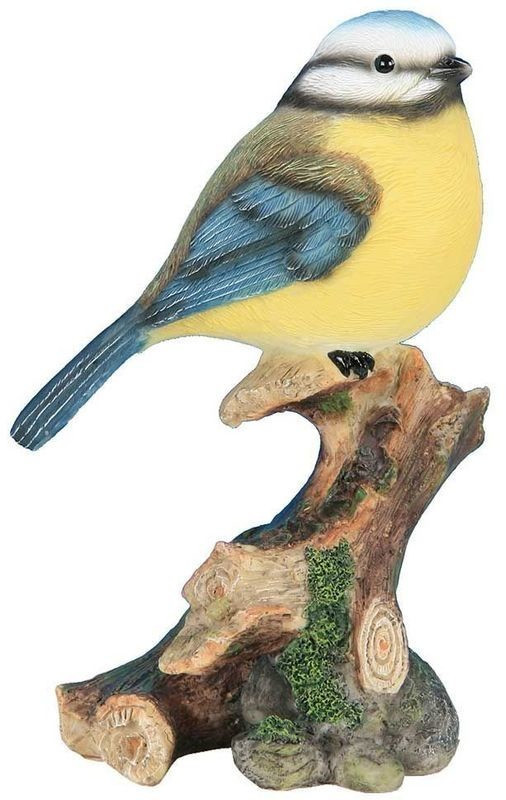 Riviera System Mésange sur sa branche