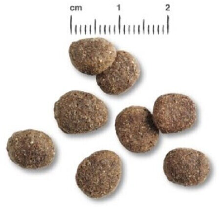 Belcando Croquettes pour chien 12.5kg Belcando Croquettes pour chien 12.5kg
