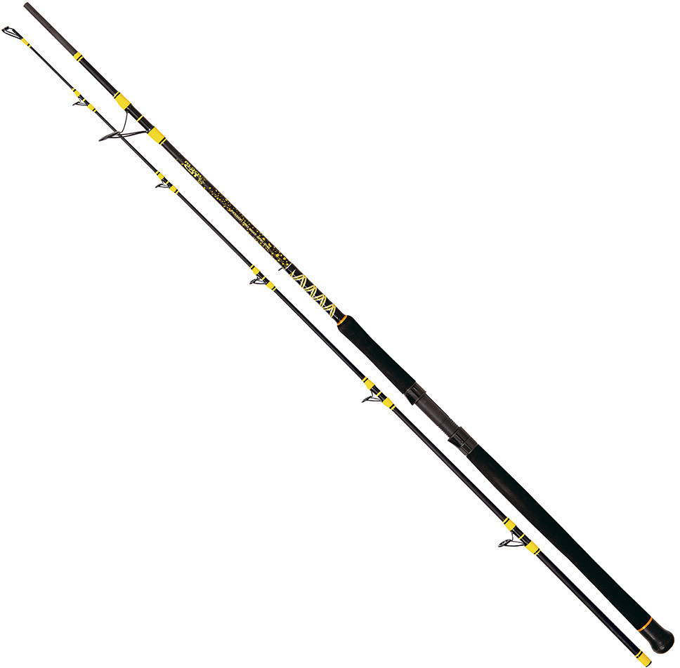 Zebco Black Cat Passion Pro DX 2,40m 600g
