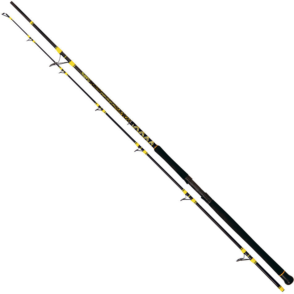 Zebco Black Cat Passion Pro DX 2,70m 600g