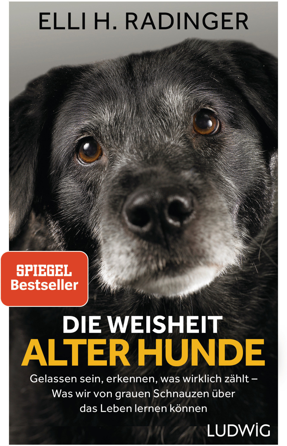 Die Weisheit alter Hunde (Elli H. Radinger)