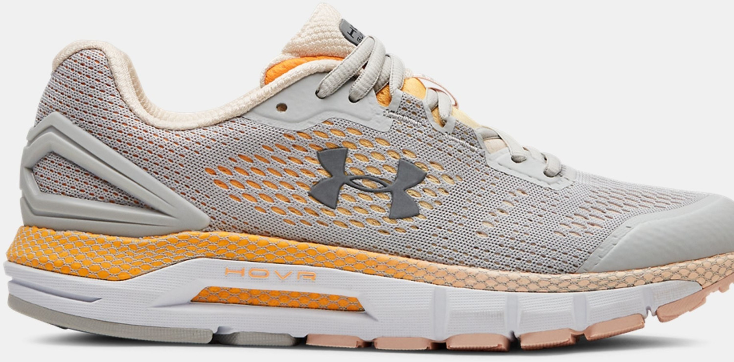 Under Armour UA HOVR Guardian Women Gray (101)