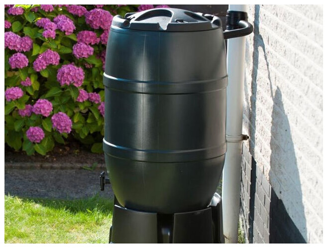 Nature Récupérateur d'eau tonneau 210 L