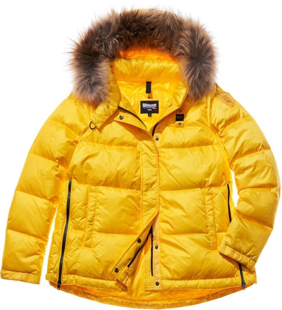 Blauer Alice (18WBLDB03007)