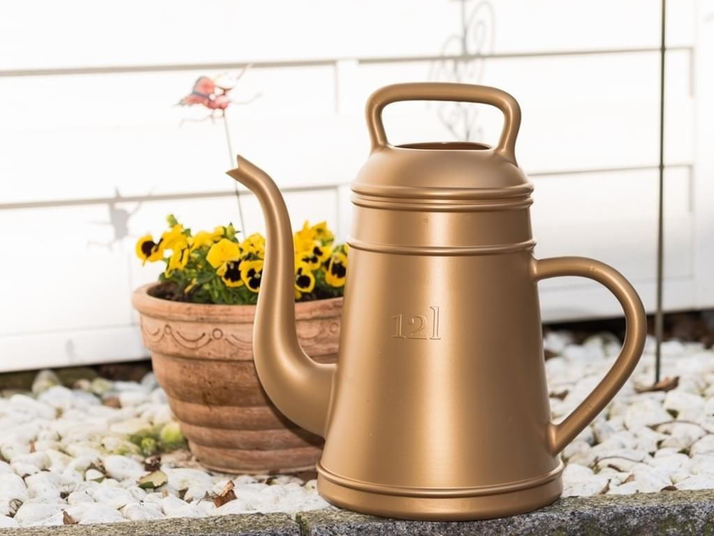 Xala Lungo 12 L or
