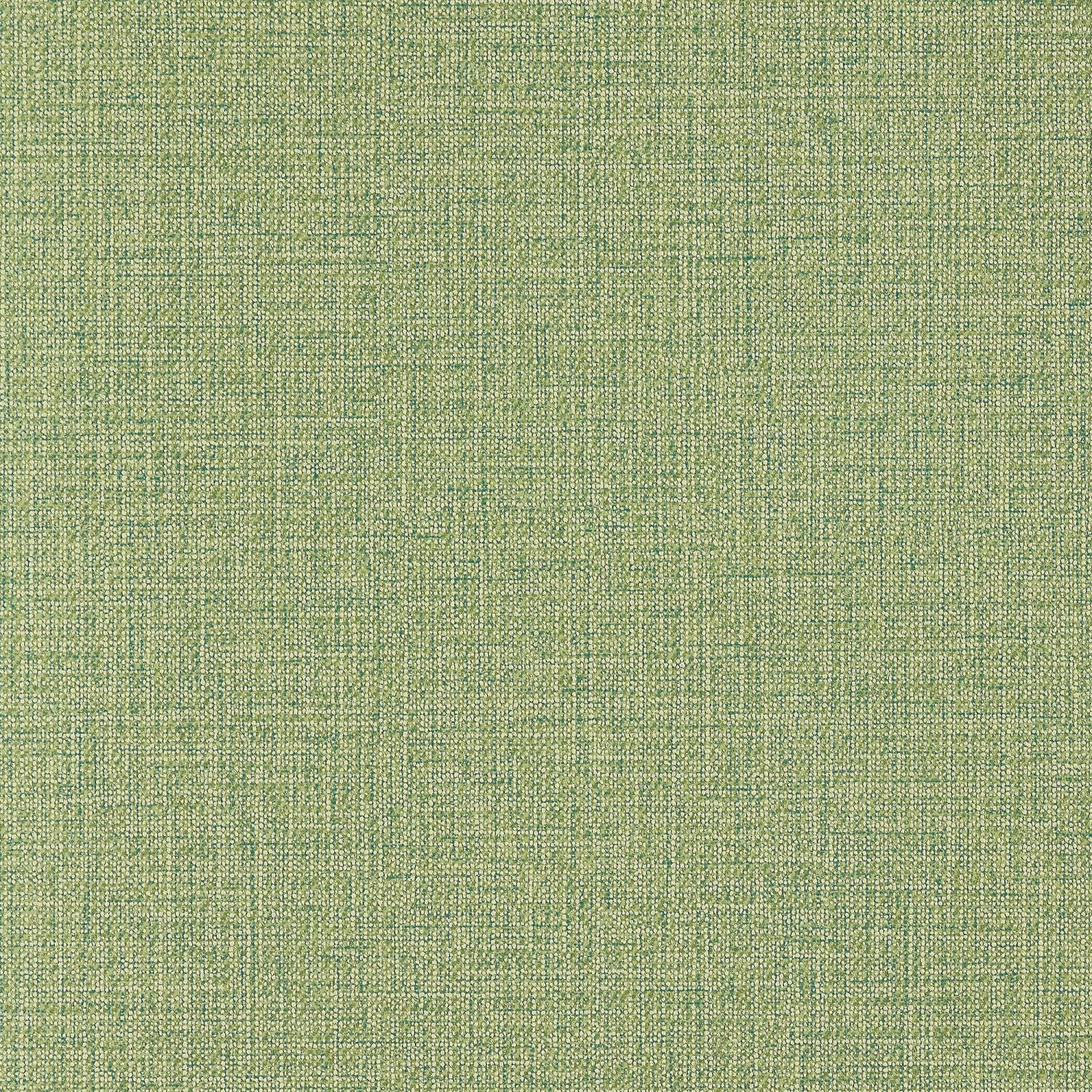 Erismann Hacienda 5414-07