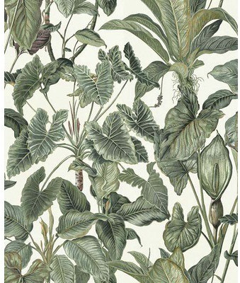Erismann Paradisio 6303-07