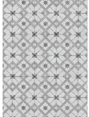 Erismann California Dreams 6366-15