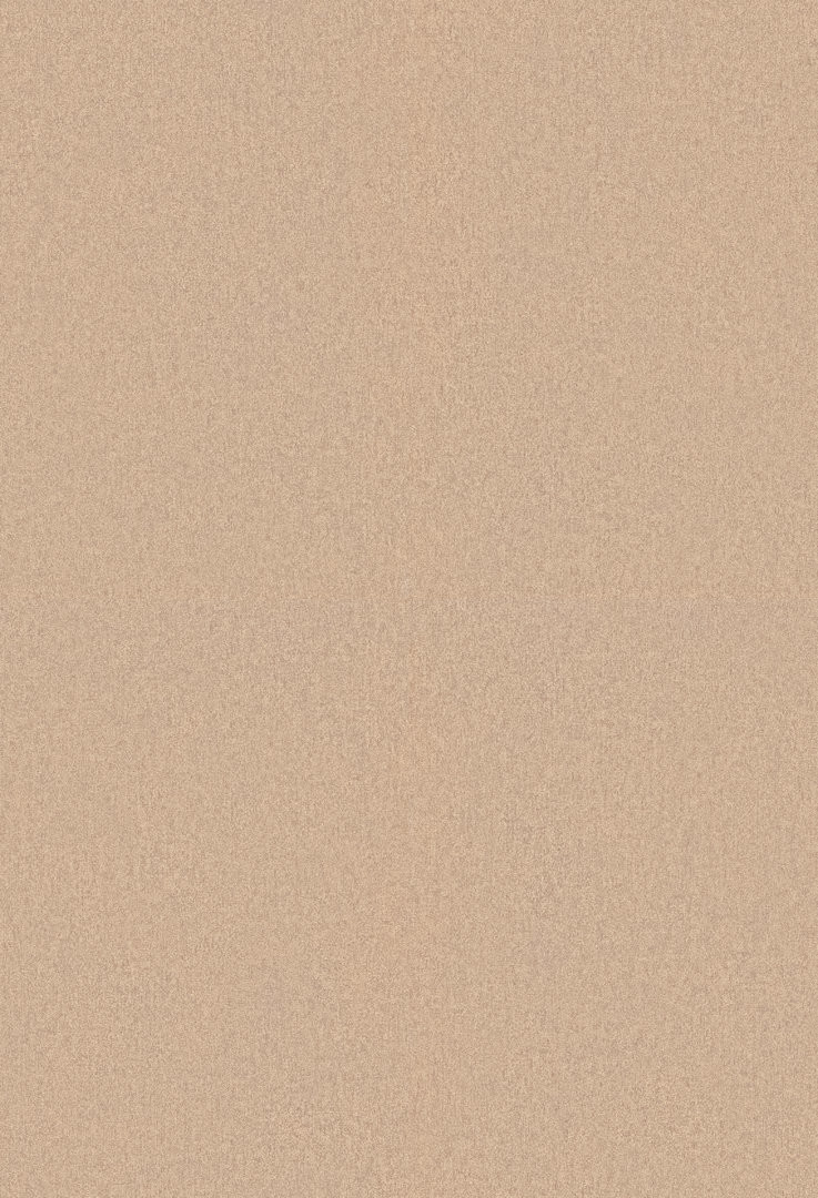 Erismann California Dreams 6370-27