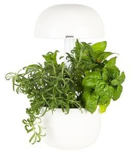 Plantui Smart Garden 3 blanc