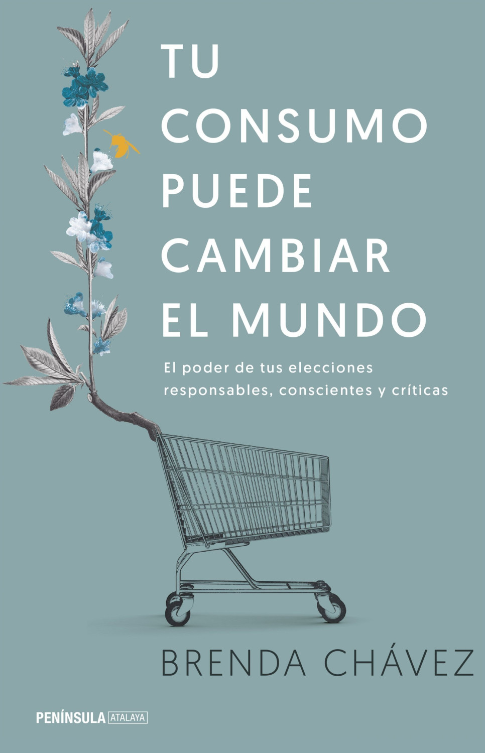 Tu consumo puede cambiar el mundo (Brenda Chávez)